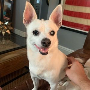 Meet your Posher, Nicholas